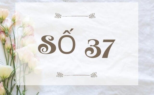 Giải mã ý nghĩa con số 37 trong phong thủy
