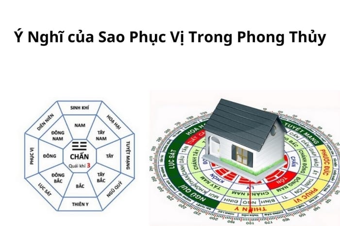 Ý nghĩa số 57 theo Du Niên là sao Phục Vị (Cát tinh bảo trợ)