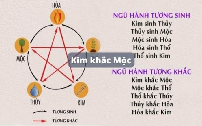 Trong quy luật ngũ hành, số 74 tương ứng Kim khắc Mộc