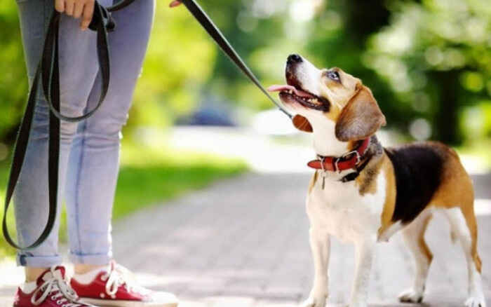 Hoạt động nào được diễn ra trong ngày lễ Tặng quà 26/12